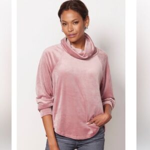 Evereve Cozy Pink Cowl Neck velour Sweater